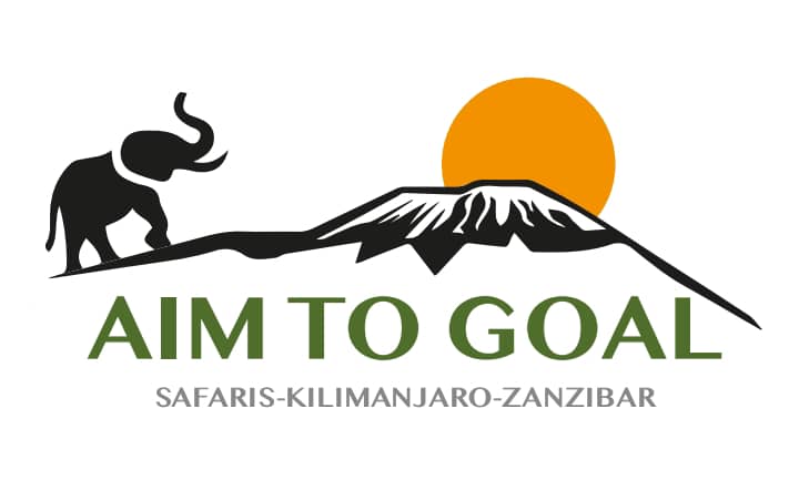 Aim to Goal Safaris | Tanzania Safari Tours & Tailor-Made Adventures